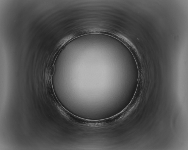 X0000086020793200704131849