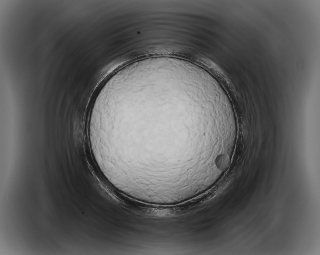 X0000086020794200704131849