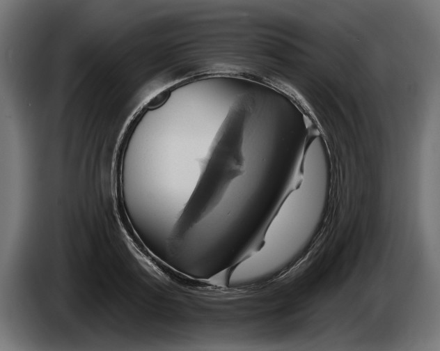 X0000086020795200704131849