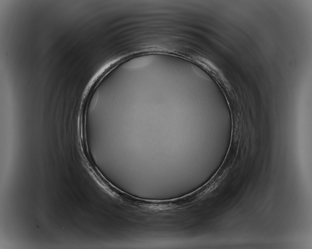 X0000086020796200704131849
