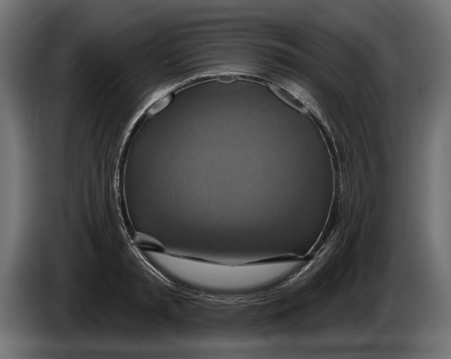 X0000086020797200704131849