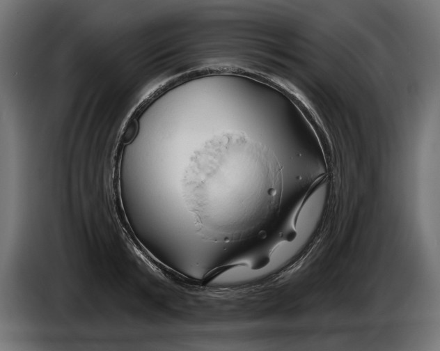 X0000086020799200704131849