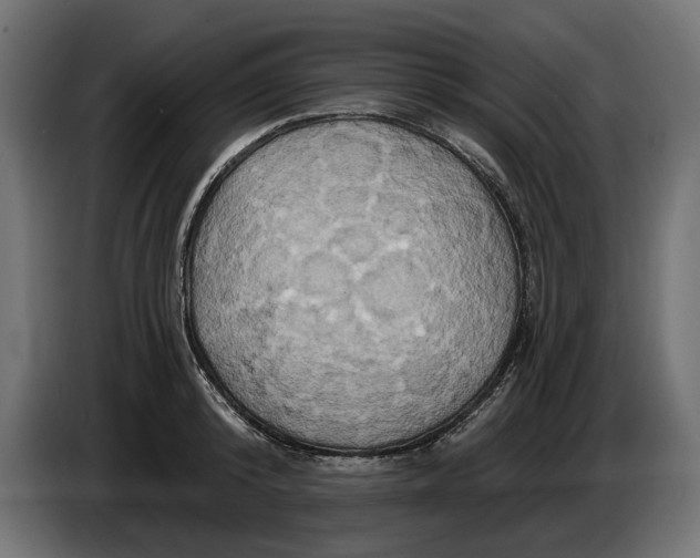 X0000086020800200704131849