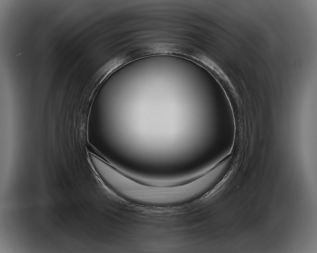 X0000086020801200704131849