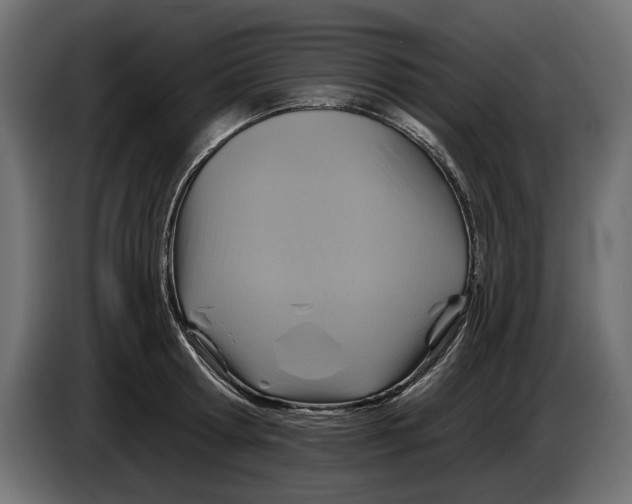 X0000086020802200704131849