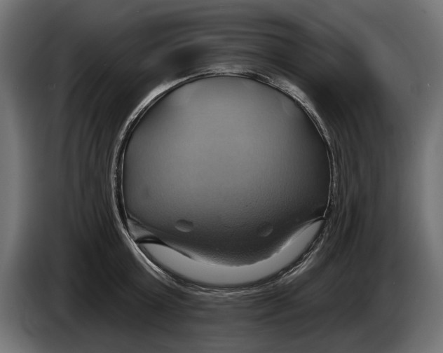 X0000086020803200704131849