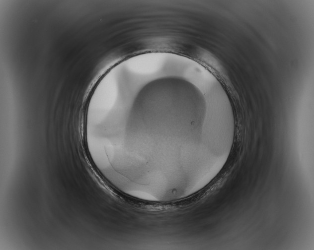 X0000086020804200704131849