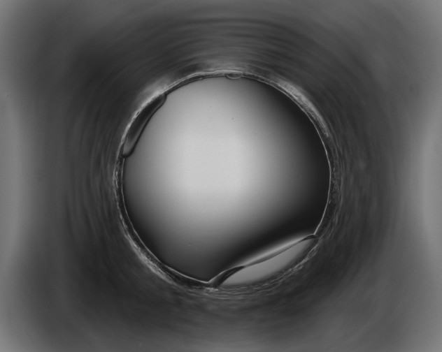 X0000086020805200704131849