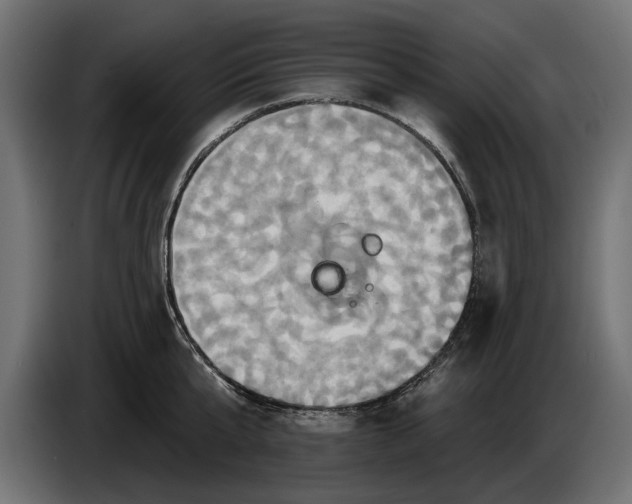X0000086020807200704131849