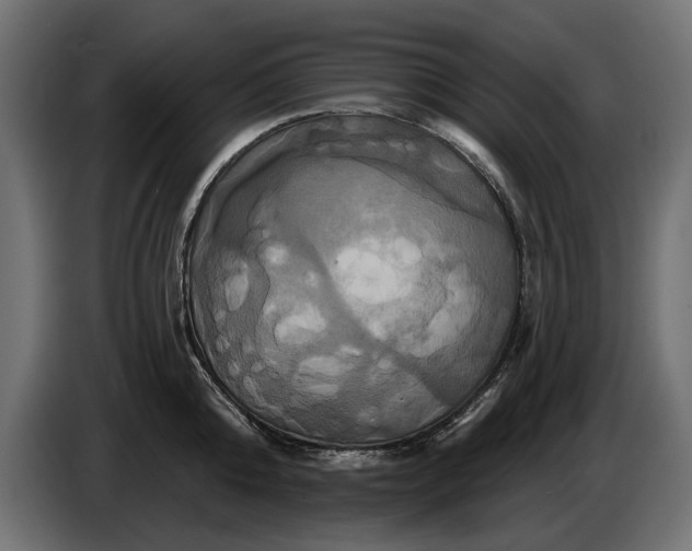 X0000086020808200704131849