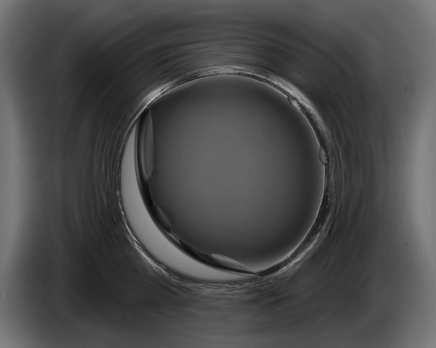 X0000086020809200704131848