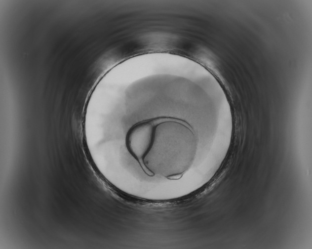 X0000086020810200704131848