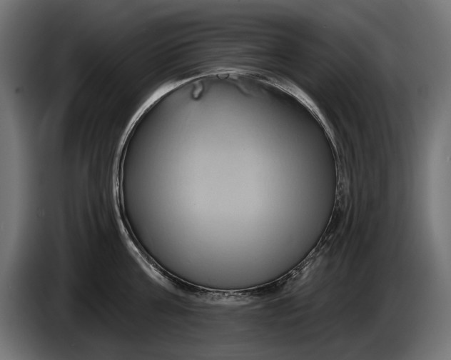 X0000086020811200704131848