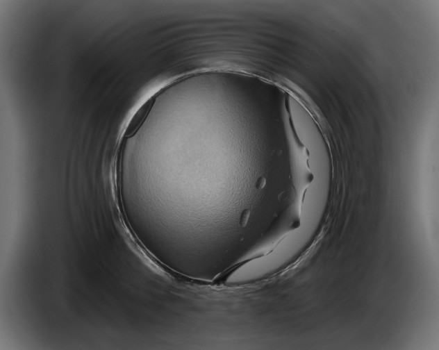 X0000086020812200704131848