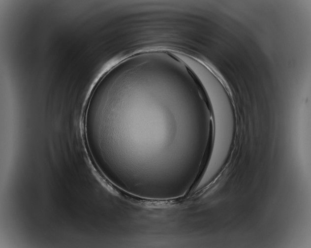 X0000086020813200704131848