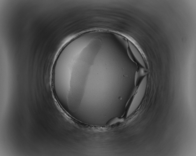 X0000086020815200704131848