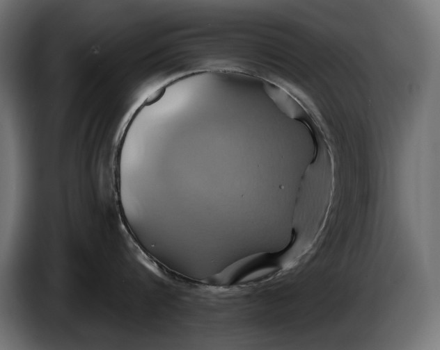 X0000086020816200704131848