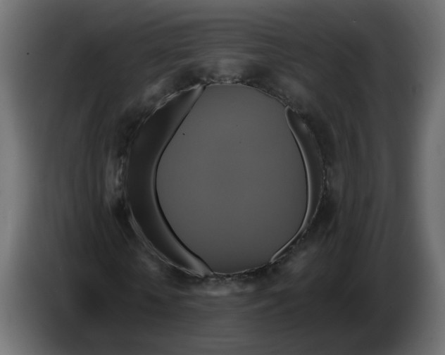 X0000086020818200704131848