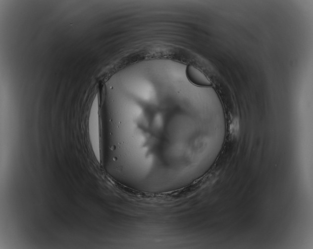 X0000086020819200704131848