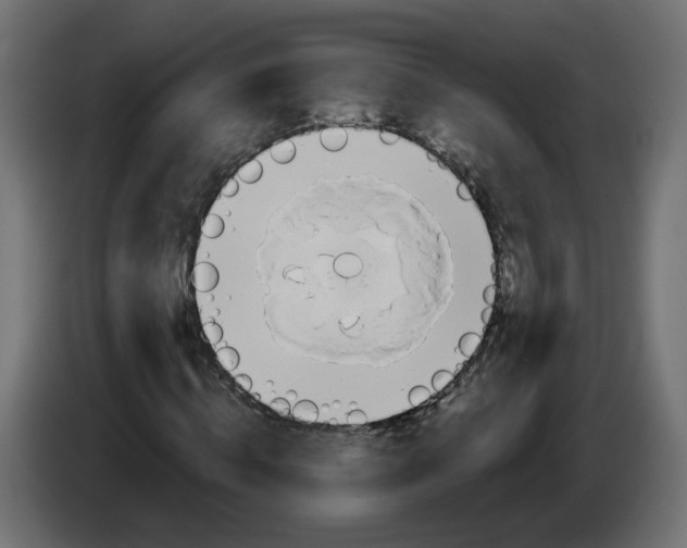 X0000086020820200704131848