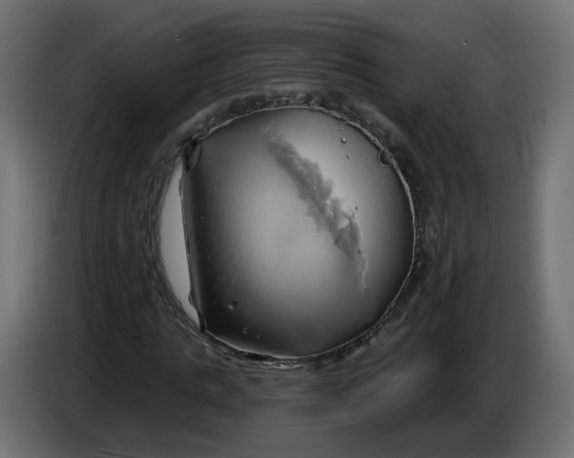 X0000086020821200704131848