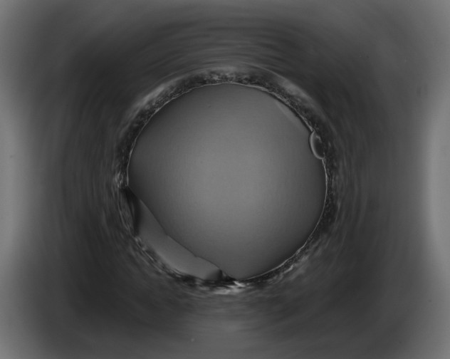 X0000086020822200704131848