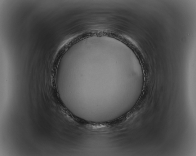 X0000086020823200704131848