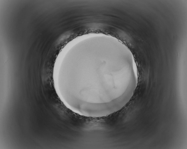 X0000086020824200704131848