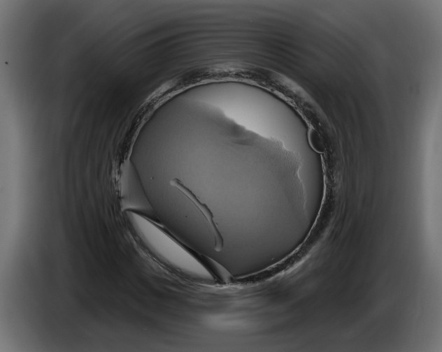 X0000086020825200704131848
