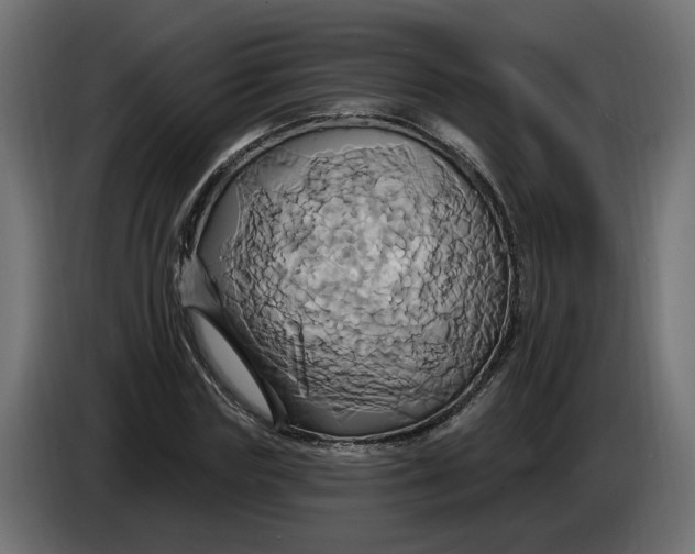 X0000086020827200704131848