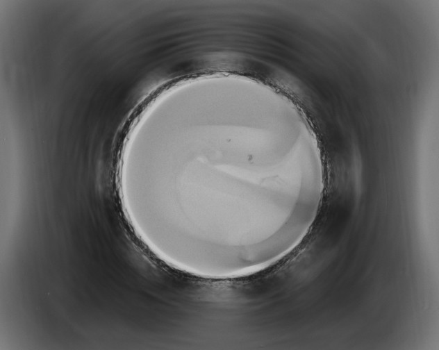X0000086020828200704131848