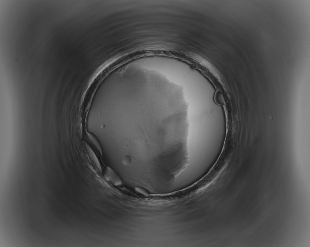 X0000086020829200704131848