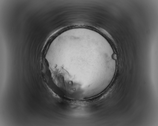 X0000086020831200704131848