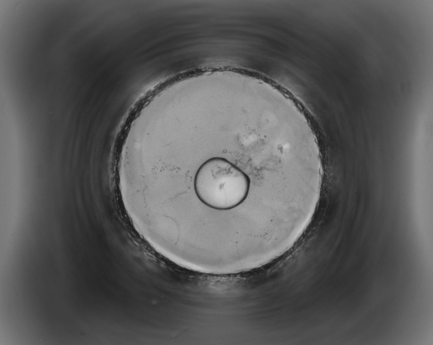 X0000086020832200704131848