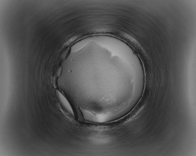 X0000086020833200704131848