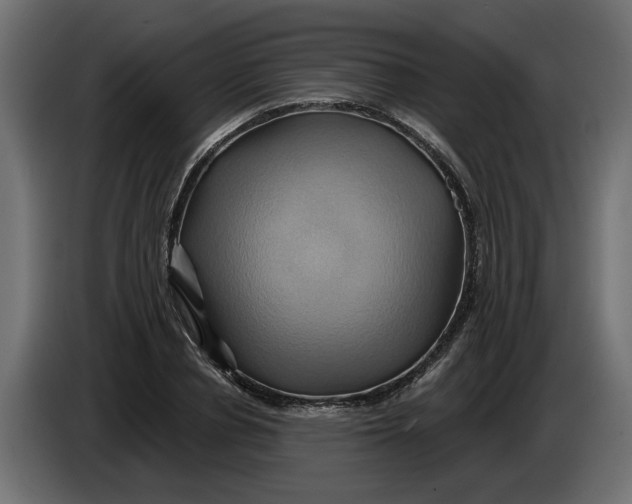 X0000086020834200704131848