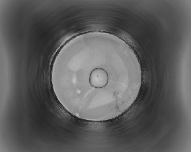 X0000086020836200704131848