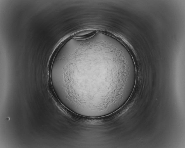 X0000086020837200704131848