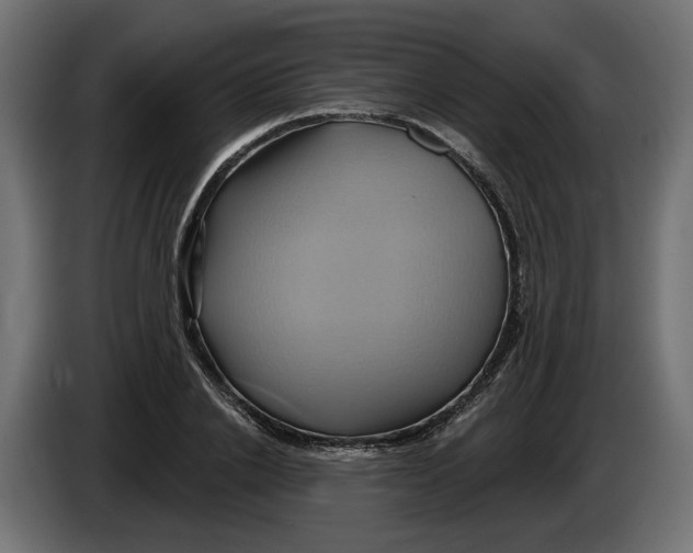 X0000086020838200704131848