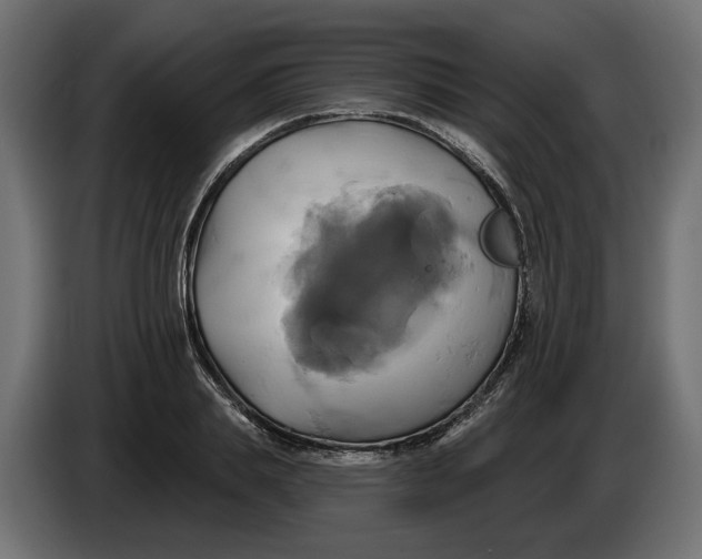 X0000086020839200704131848