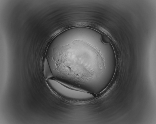 X0000086020841200704131848