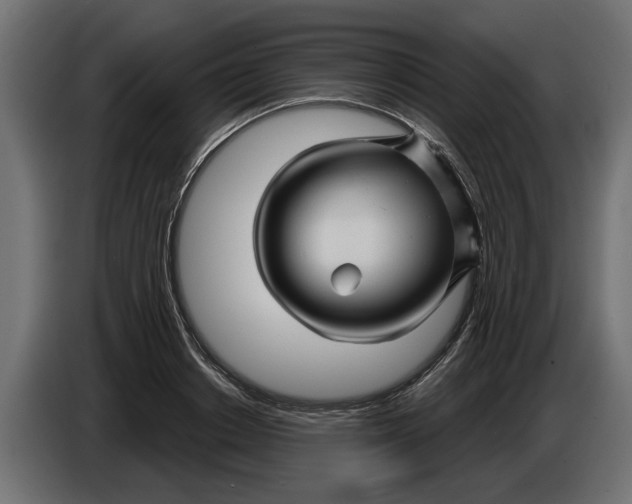 X0000086020842200704131848
