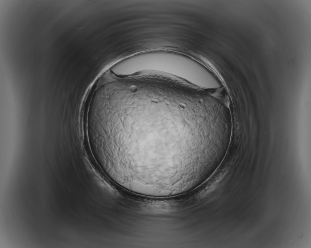 X0000086020843200704131848