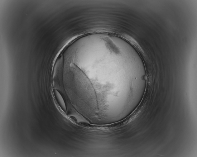 X0000086020844200704131848