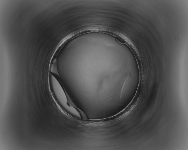 X0000086020845200704131848