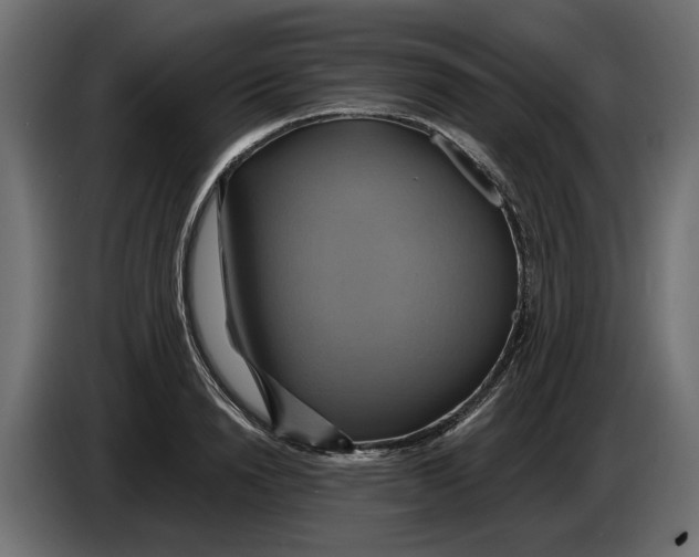 X0000086020846200704131848