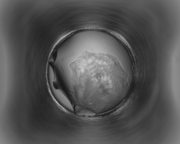 X0000086020847200704131848