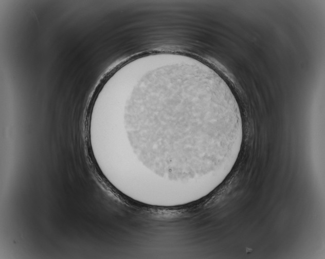 X0000086020848200704131848