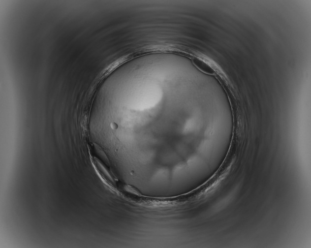 X0000086020849200704131848