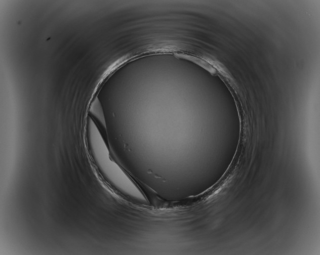 X0000086020850200704131848